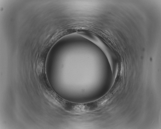 X0000087360227200704201155