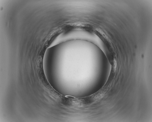 X0000087360229200704201155