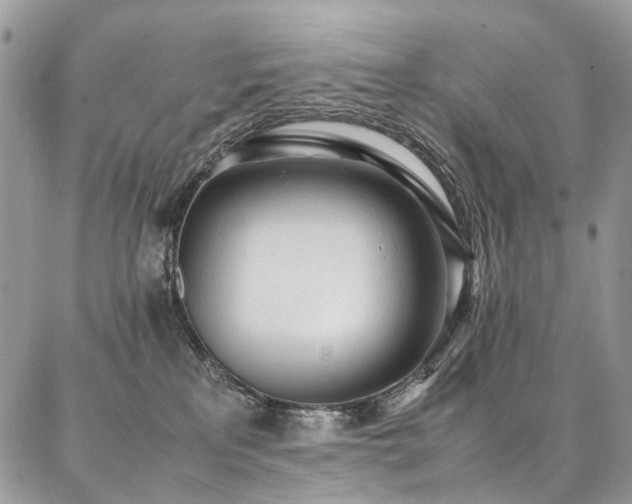 X0000087360233200704201155