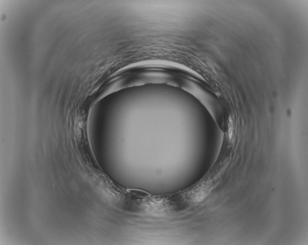 X0000087360235200704201155