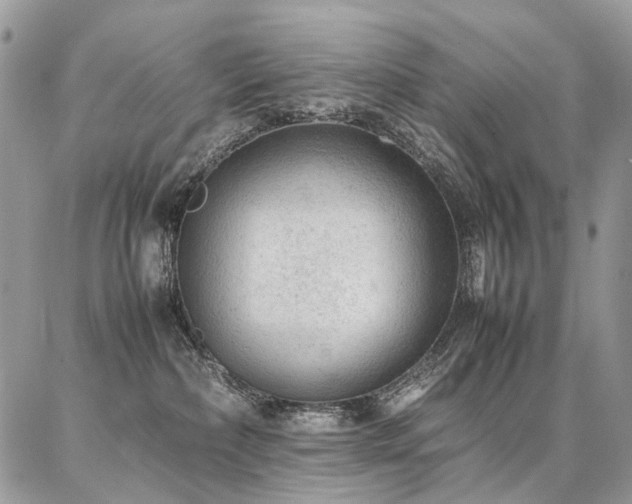 X0000087360236200704201155