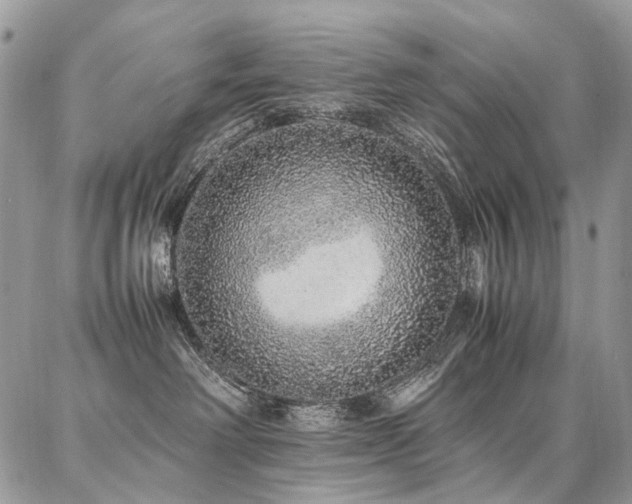 X0000087360238200704201155