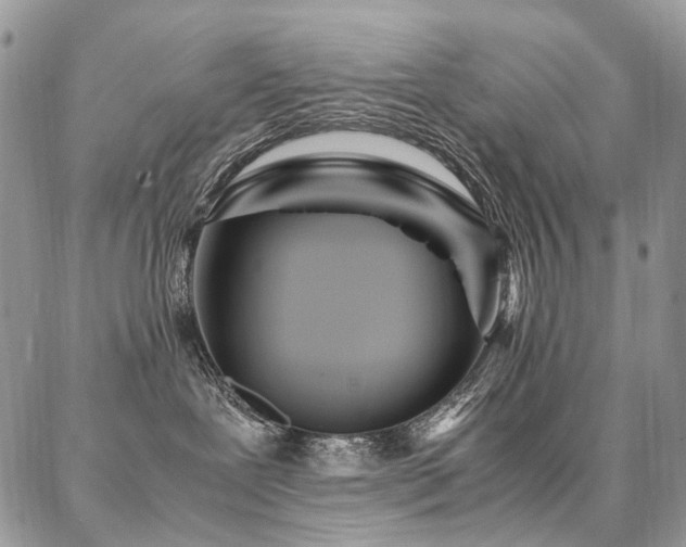 X0000087360239200704201155