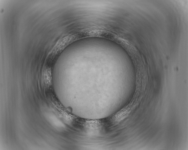 X0000087360240200704201155