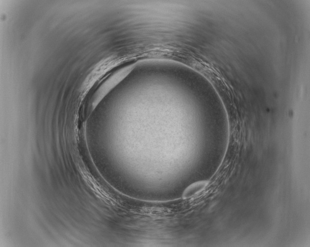 X0000087360242200704201154