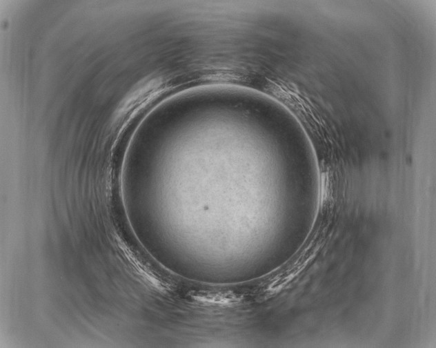 X0000087360243200704201154
