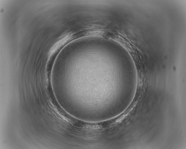 X0000087360245200704201154