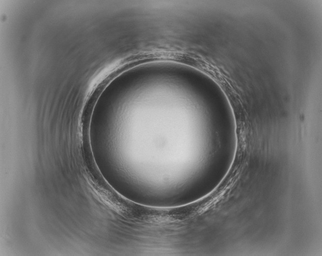 X0000087360246200704201154