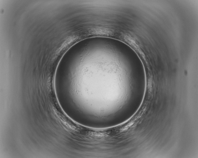 X0000087360249200704201154