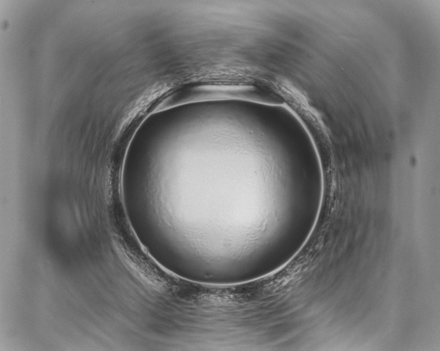 X0000087360250200704201154
