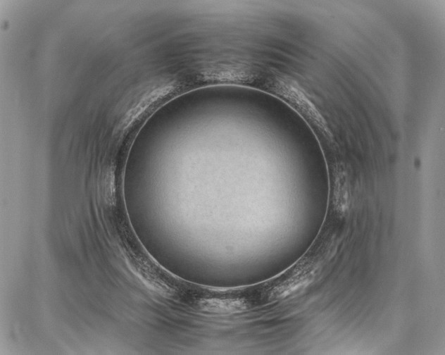 X0000087360251200704201154