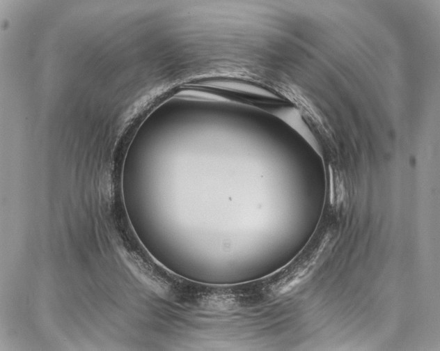 X0000087360252200704201154
