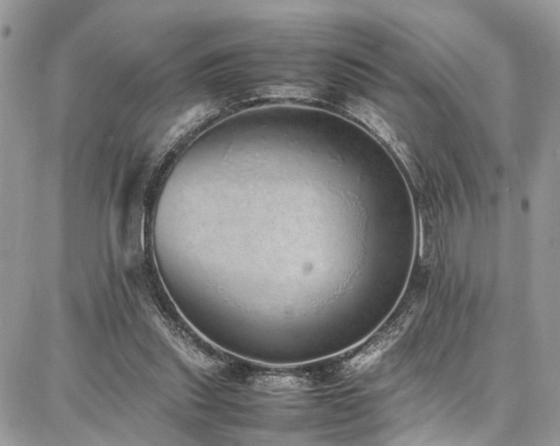 X0000087360253200704201154