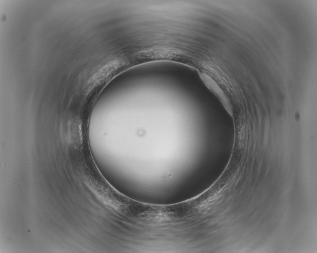 X0000087360254200704201154