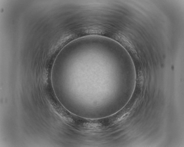 X0000087360255200704201154