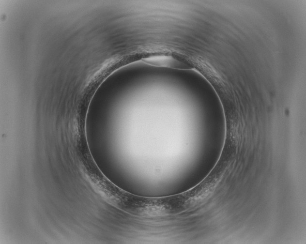 X0000087360256200704201154