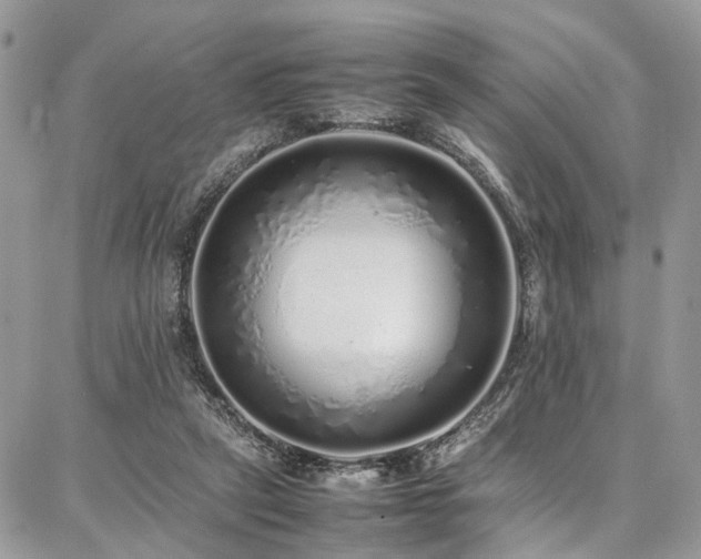 X0000087360257200704201154