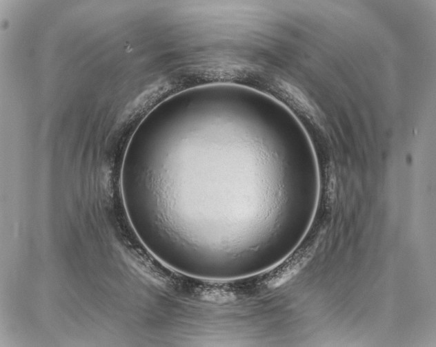 X0000087360258200704201154