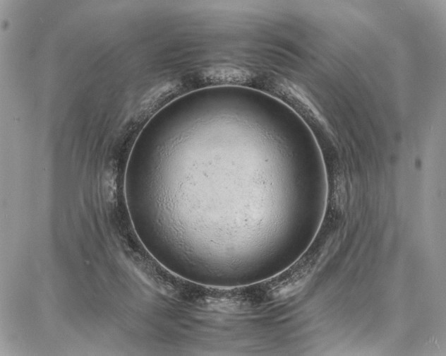 X0000087360259200704201154