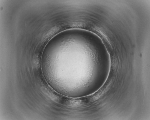 X0000087360261200704201154