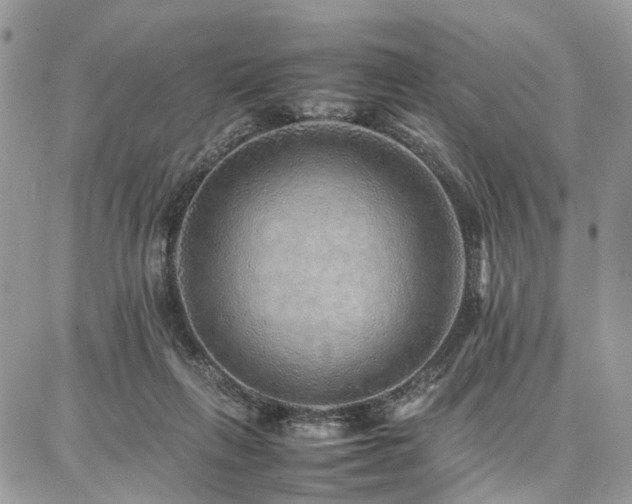 X0000087360263200704201154