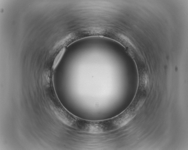 X0000087360264200704201154