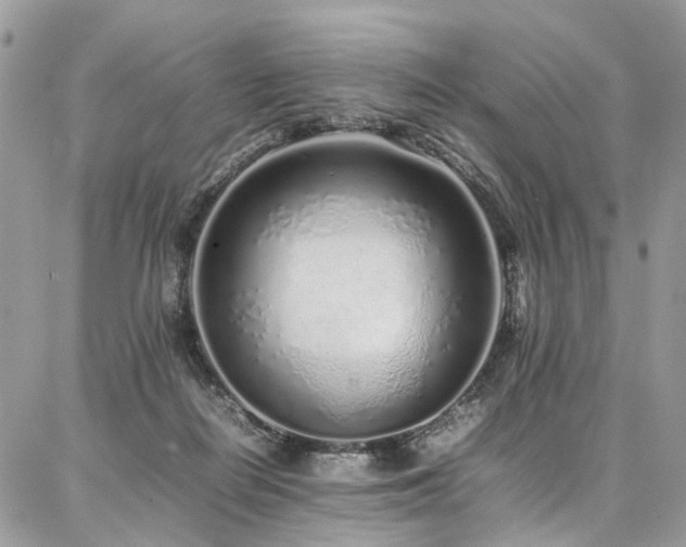 X0000087360266200704201154