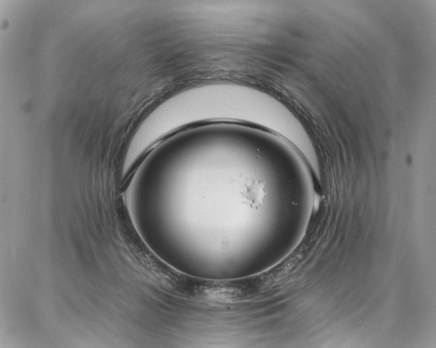 X0000087360268200704201154