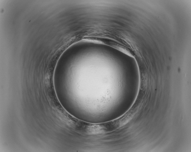 X0000087360269200704201154