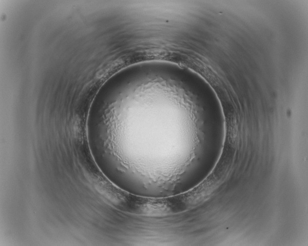 X0000087360270200704201155