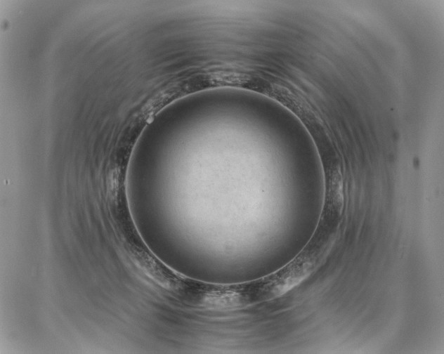 X0000087360271200704201155