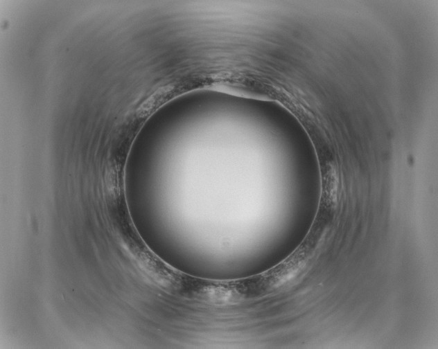 X0000087360272200704201155