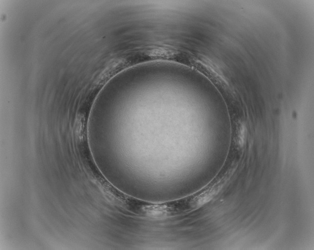 X0000087360273200704201155