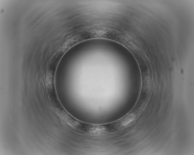 X0000087360274200704201155