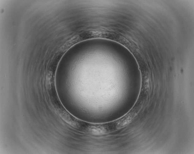 X0000087360275200704201155