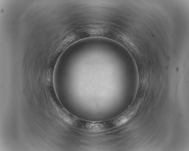 X0000087360277200704201155