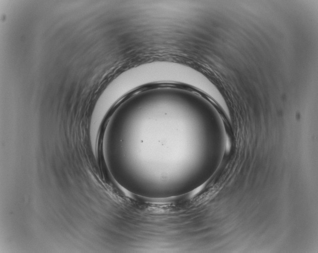X0000087360280200704201155