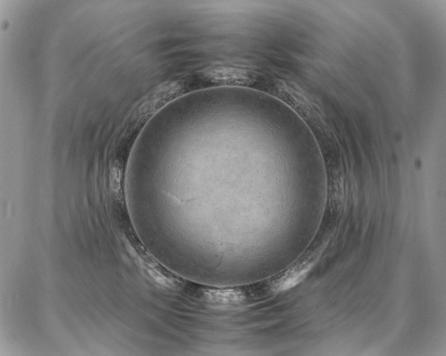 X0000087360281200704201155