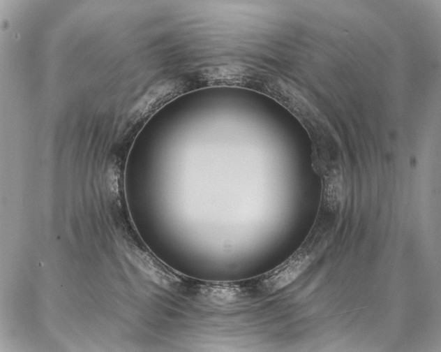 X0000087360282200704201155