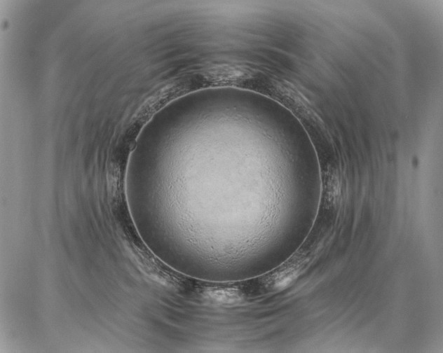 X0000087360283200704201155
