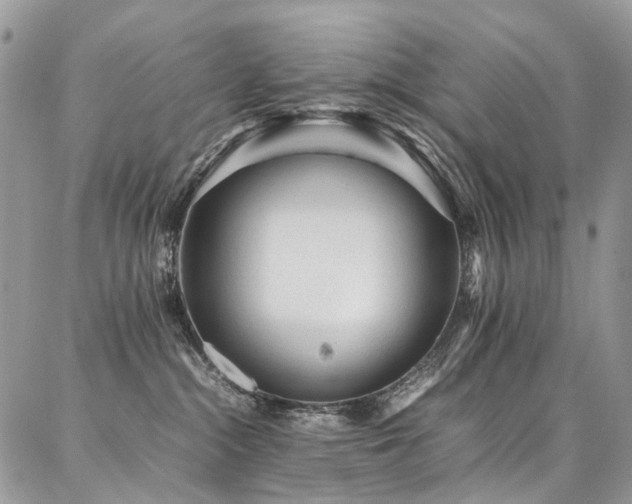 X0000087360284200704201155