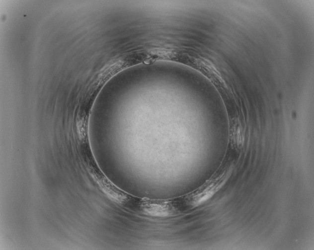 X0000087360285200704201155