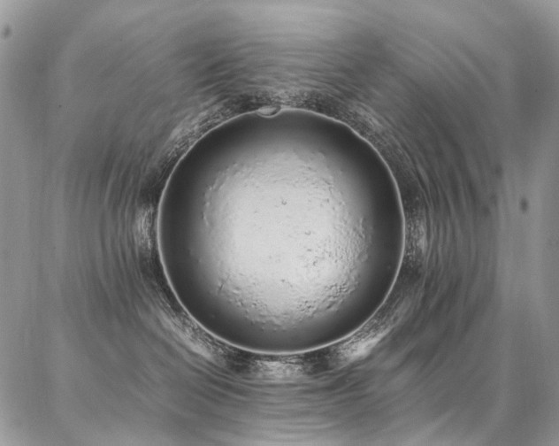 X0000087360286200704201155