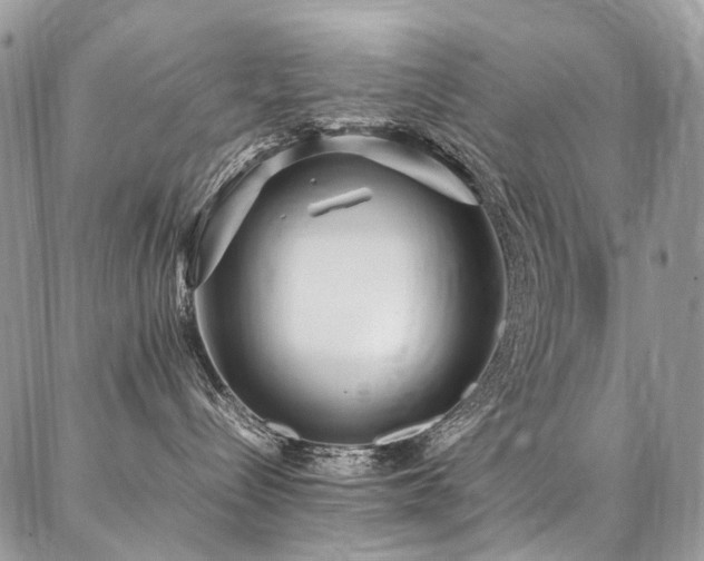 X0000087360288200704201155