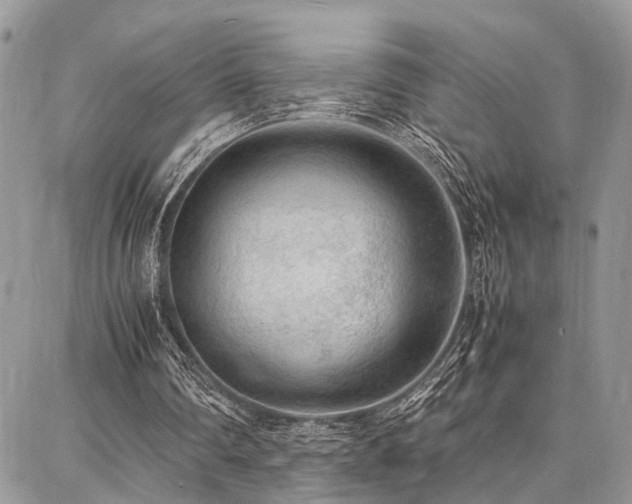 X0000087360290200704201154