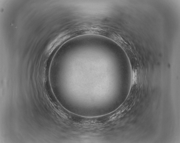 X0000087360291200704201154