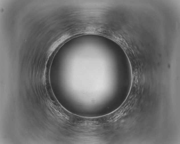 X0000087360292200704201154