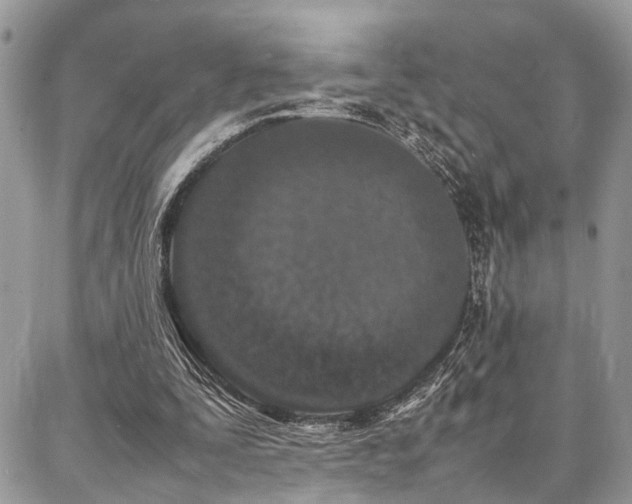 X0000087360295200704201154