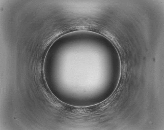 X0000087360297200704201154