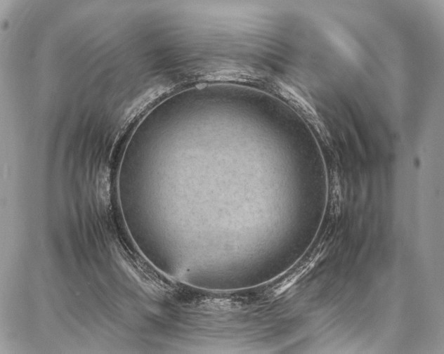 X0000087360298200704201154